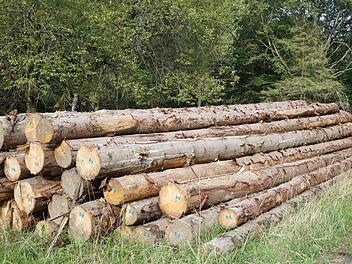 Der Markt Burkardroth verfügt über einen gepflegten Wald und einen  vertretbaren Einschlag. Foto: Archiv/Marion Eckert