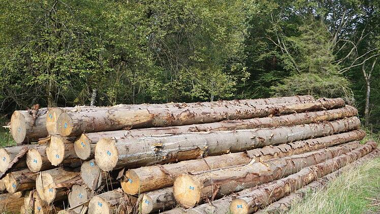 Der Markt Burkardroth verfügt über einen gepflegten Wald und einen  vertretbaren Einschlag. Foto: Archiv/Marion Eckert