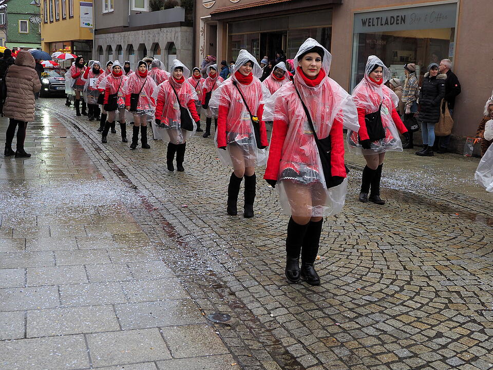Bad Br&uuml;ckenau feiert Fasching!