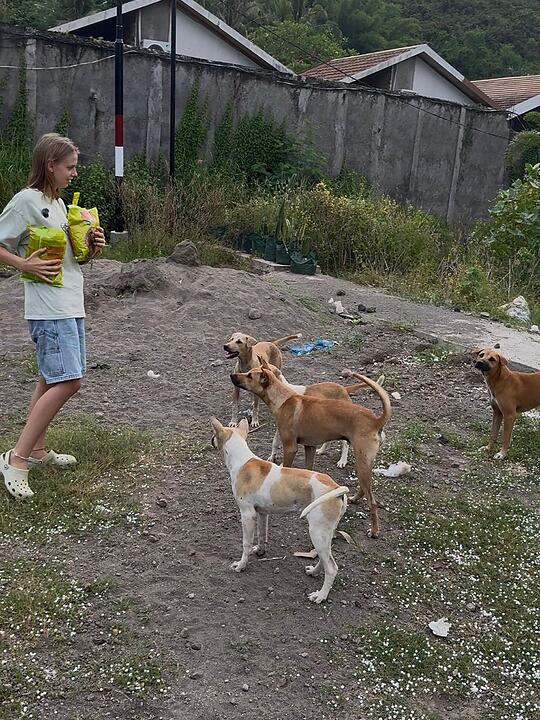 Eileen aus Franken (20) wandert aus, um Hunde zu retten - dann folgen Morddrohungen