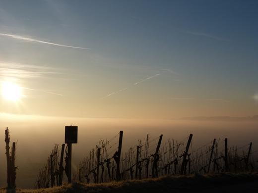 Sp&auml;therbst Teil 2