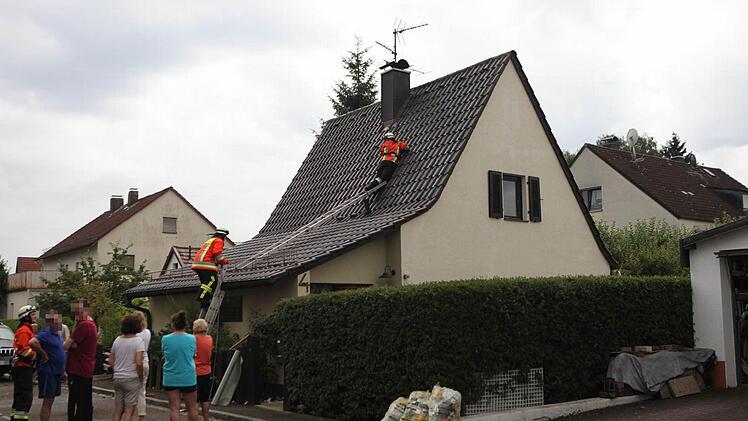 Foto: News5 / Grundmann