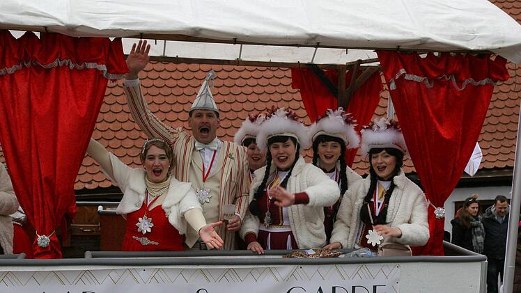 Beim Faschingszug in HirschaidWerner Baier