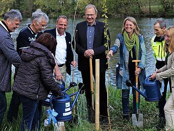 Der bayerische Umweltminister Thorsten Glauber (hinten, 3. v. l.) beim Pflanzen einer weiteren Schwarzpappel.
