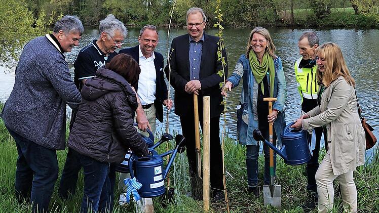Der bayerische Umweltminister Thorsten Glauber (hinten, 3. v. l.) beim Pflanzen einer weiteren Schwarzpappel.