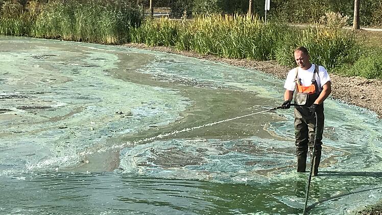 Christian Meister  steht bis zum Bauch im &uuml;bel riechenden Wasser. Er spritzt mit einem Schlauch die Algen Richtung Absauger. Foto: Sonny Adam