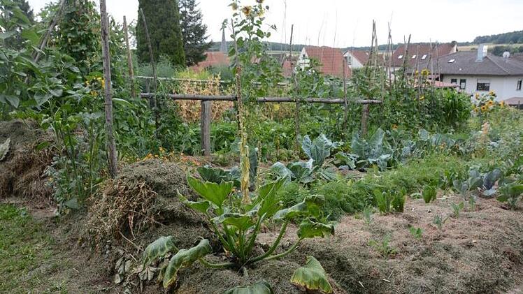 Eine dicke Mulchschicht verhindert die Verdunstung im Beet.