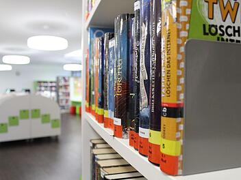 Ein Blick in die Regale der Kreisbibliothek,. Foto: Anna-Lena Deuerling