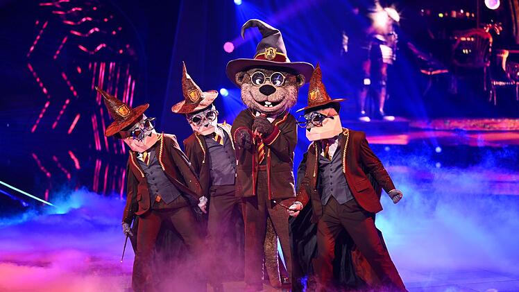 Harry Otter möchte mit einem Song von Queen verzaubern.