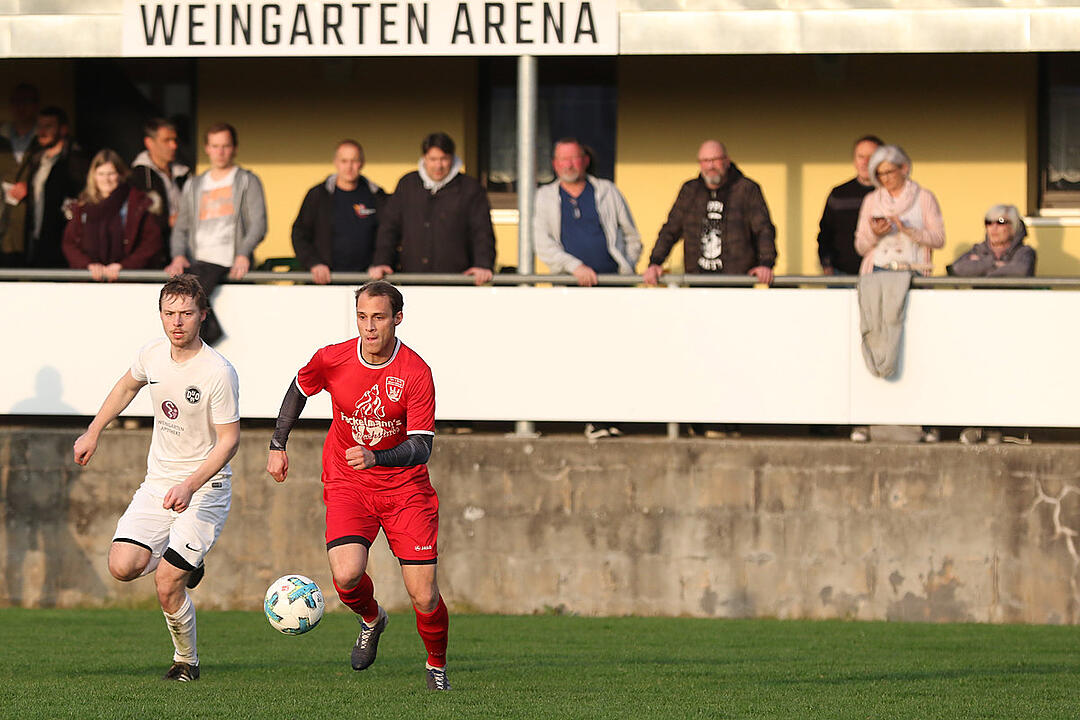 Dettelbach und Ortsteile - TSV/DJK Wiesentheid