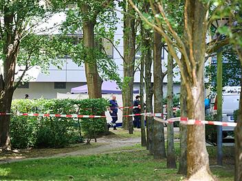 Totes Baby in Lichterfelde entdeckt