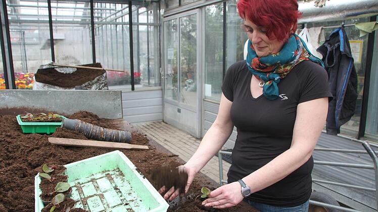 Maria Russ arbeitet an der Aufzucht neuer Pflanzen.  Foto: Andreas Schmitt