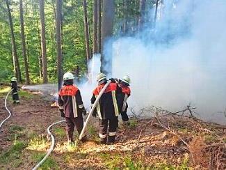 Die alarmierten Feuerwehren hatten den Brand am Mitwitzer Berg schnell unter Kontrolle. Foto: Feuerwehr Mitwitz