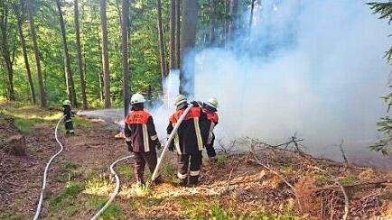 Die alarmierten Feuerwehren hatten den Brand am Mitwitzer Berg schnell unter Kontrolle. Foto: Feuerwehr Mitwitz