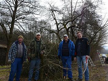 Hoch hinauf geht es bei alten Obstbäumen, aber auch die brauchen ab und zu einen Baumschnitt. Den vollzogen: (von links) Kurt Heid, Patrick Huth, Erich Schmitt und Neumitglied Marcel Müller. Foto: Elisabeth Assmann