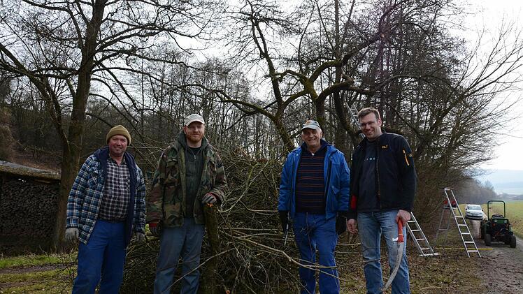 Hoch hinauf geht es bei alten Obstbäumen, aber auch die brauchen ab und zu einen Baumschnitt. Den vollzogen: (von links) Kurt Heid, Patrick Huth, Erich Schmitt und Neumitglied Marcel Müller. Foto: Elisabeth Assmann