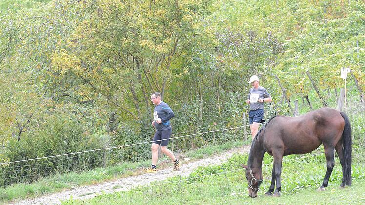 Weinberglauf beim SV Ramsthal. Foto: ssp