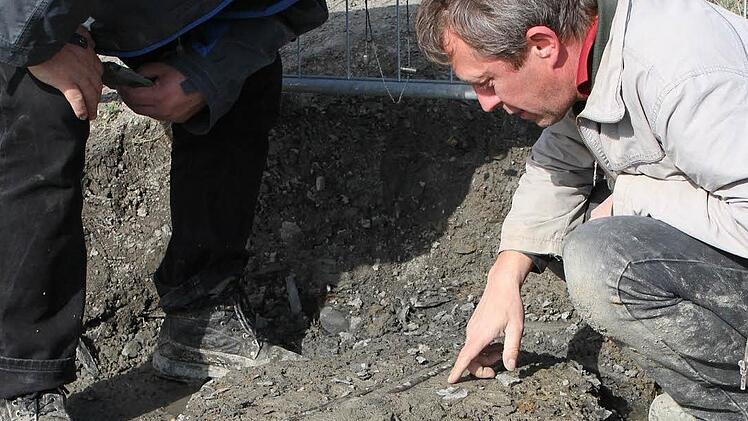An den Kieferknochen des versteinerten  Fischsaueriers kann Präparator Stefan Eggmaier (rechts) erkennen, dass das Tier auf dem Rücken liegt. Zusammen mit Joachim Rabold, dem Leiter des Urwelt-Museums in Bayreuth, bespricht er die nicht ganz einfache Bergung des Fossils aus der Tongrube in Mistelgau.