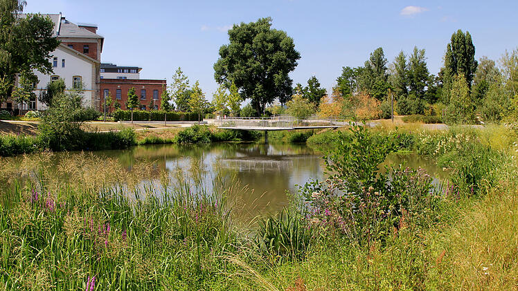 Bamberg: "10 Jahre Erba-Park“ - Bürgerparkverein lädt zu Führung ein