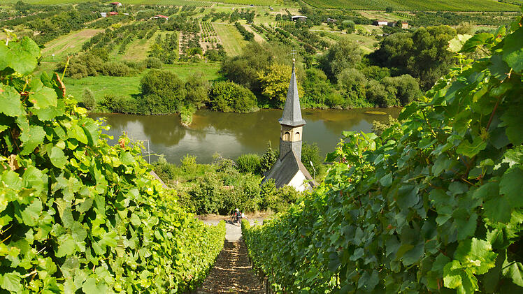 Weinberge Kitzingen