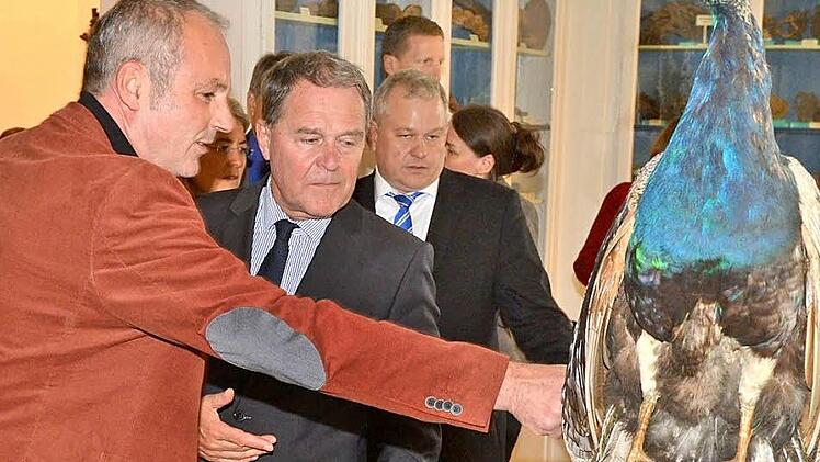 Minister Wolfgang Heubisch im Naturkundemuseum  lässt sich von Museumsdirektor Matthias Mäuser  ein Pfauen-Präparat erläutern.   Foto: Rinklef