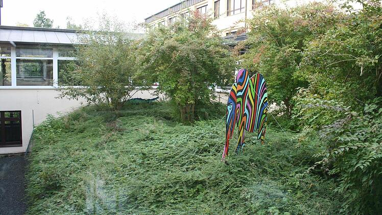 Noch ist der Innenhof dicht bewachsen. Im Rahmen der Sanierung soll er zu einem inneren Pausenhof umgestaltet werden.