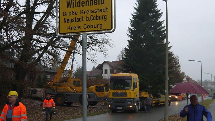 Kommt aus Wildenheid, schmückt den Neustadter Markt: eine 15 Meter hohe Nordmanntanne. Foto: Berthold Köhler