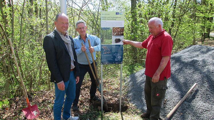 Eine neue Bild- und Texttafel der Unteren Naturschutzbehörde informiert am Wanderweg nach Engenthal über Fledermäuse (von links) Bürgermeister Karlheinz Kickuth, Roland Lenhart und Bauhofleiter Leo Roth.  Foto: Winfried Ehling