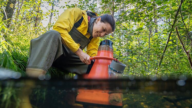 Hannah Emde taucht nach Flussperlmuscheln: Zusammen mit einer Muschelexpertin und ihrem Team renaturiert sie einen Flussabschnitt, um die bedrohte Art zu sch&uuml;tzen.