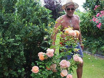 Roland Stadler inmitten seiner Rosen. alle Fotos: Evi Seeger