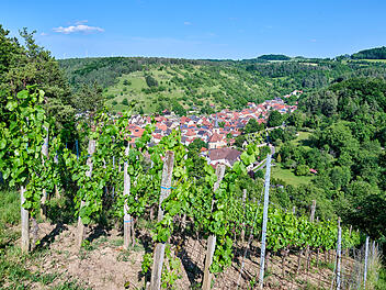 Sulzthal liegt im unterfränkischen Landkreis Bad Kissingen in einem idyllischen Seitental der Fränkischen Saale.