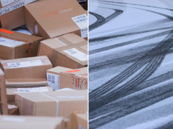 Paketbote kracht in Baum