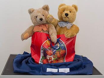 Zwei Teddys von 1966 und 1952: Der linke ist der ältere. Foto: Björn Hein