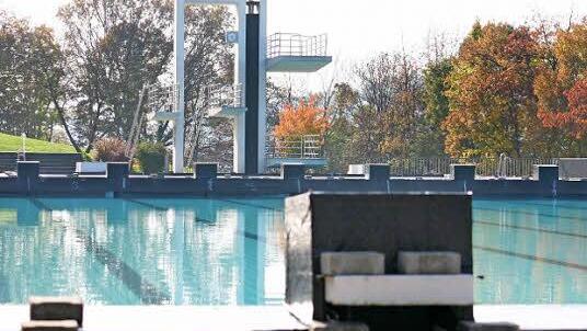 Auch im Springerbecken versickert das Wasser. Foto: Eckehard Kiesewetter