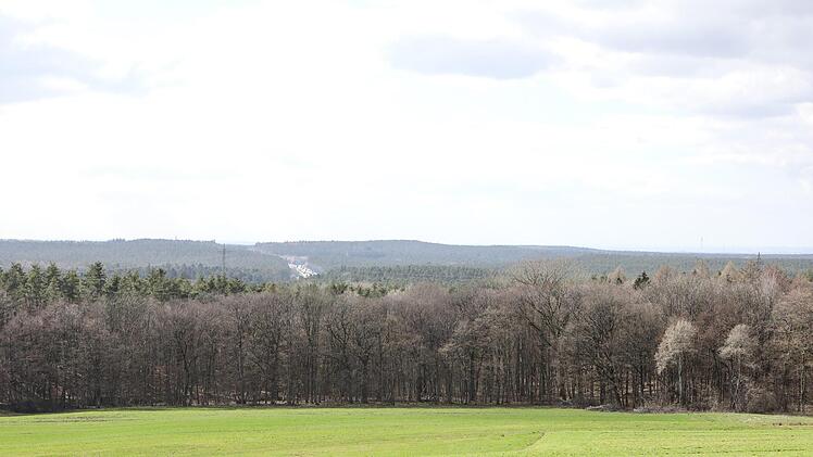 Unterwegs auf unserer Dünenwanderung mit Andi Schettler. Foto: Barbara Herbst