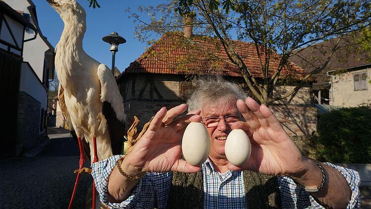 Das größere ist ein Gänseei und das kleinere ein Storchenei.