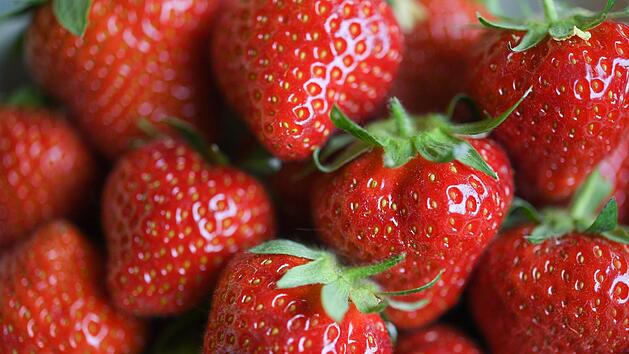 Eine Kundin des Discounters Aldi S&uuml;d wollte gerade ein Eis aus gefrorenen Beeren machen, als sie eine eklige Entdeckung machte. Symbolfoto: Arne Dedert/dpa