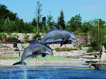 Delfine im Tiergarten Nürnberg Foto: Tiergarten Nürnberg