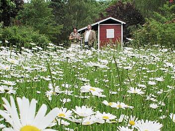Friesendorf: Gut eingewachsen ist der Hanggarten der Familie Schulz in Friesendorf. Zum natürlichen Charme trägt eine Blumenwiese, ein schattiger Sitzplatz und eine lauschige Weinpergola bei.  Foto: Thomas NEder
