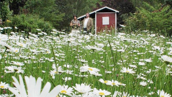 Friesendorf: Gut eingewachsen ist der Hanggarten der Familie Schulz in Friesendorf. Zum natürlichen Charme trägt eine Blumenwiese, ein schattiger Sitzplatz und eine lauschige Weinpergola bei.  Foto: Thomas NEder