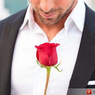 Das ist der Bachelor 2016