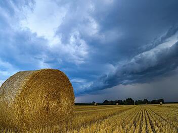 Sommer 2023: Zu warm und zu nass