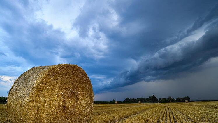 Sommer 2023: Zu warm und zu nass