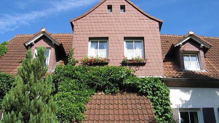 Sommerbild aus dem Garten Foto: Dieter Jochum