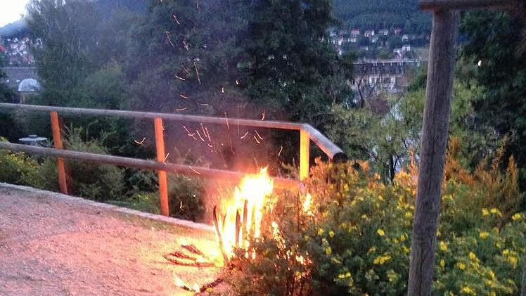 Solche Bilder soll es künftig nicht mehr geben: In der Grünzone beim Parkhaus Basteigasse kommt es immer wieder zu Sachbeschädigungen - wie vor einem Monat, als der Papierkorb brannte - und zu Ruhestörungen. Der Stadtrat will dort künftig den Aufenthalt bei Dunkelheit verbieten und die Beleuchtung verstärken. Foto: privat