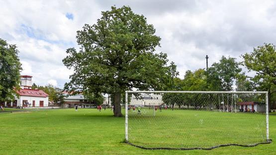 Orissaare Spordihoone Avatud, Estland