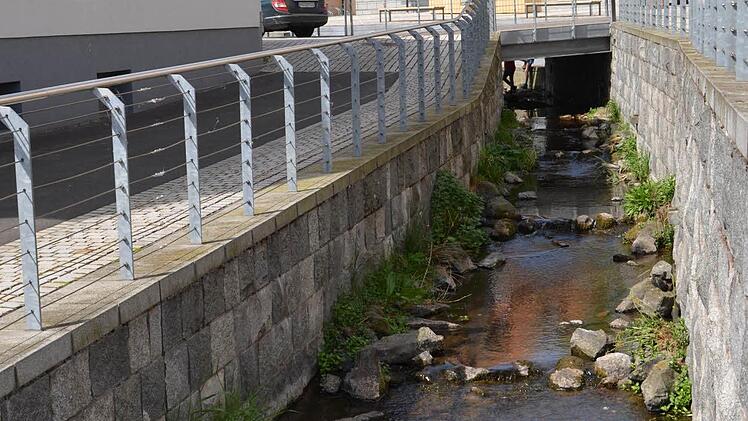 Die offengelegte Aschach unweit des Burkardrother Rathauses ist auch Lebensraum der Enten. Etwa drei bis fünf Tiere leben hier. Auf dem Foto ist aber nur eine Ente erkennbar, die anderen halten sich unter der Brücke auf. Foto: kkh