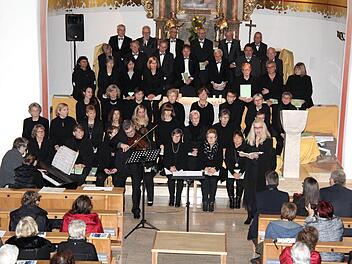 Thomas Leyer (vorne mit Violine) und Gabriele Dörrfuß (vorne rechts) brillierten als Solisten.Richard Sänger