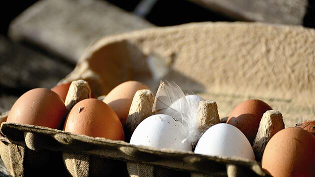 Geschmacklich gibt es keinen Unterschied zwischen wei&szlig;en und braunen Eiern. Symbolfoto: Congerdesign/pixabay.com