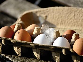 Geschmacklich gibt es keinen Unterschied zwischen weißen und braunen Eiern. Symbolfoto: Congerdesign/pixabay.com